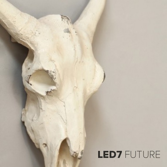 Loft Industry Cow Skull