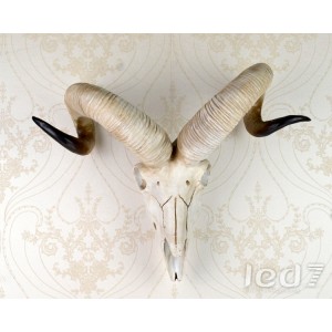 Loft Industry Siberian Snow Sheep