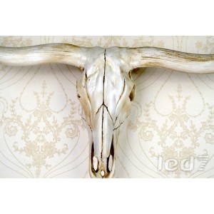Loft Industry Longhorn Steer Skull