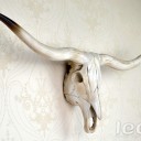 Loft Industry Longhorn Steer Skull