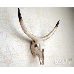 Loft Industry Steer Horns