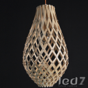 Wood Design - Capsule