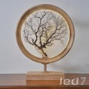 Wood Design - Circle Art Table