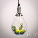 Innerspace - Nature Lamp