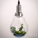 Innerspace - Nature Lamp