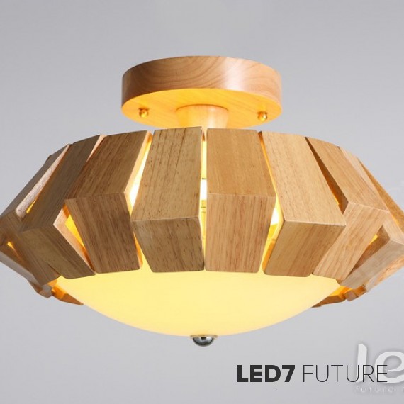 Wood Design - Hubble Top