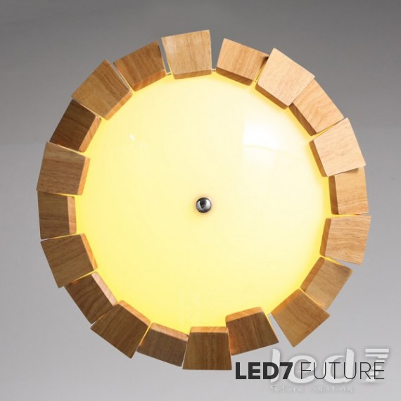 Wood Design - Hubble Top