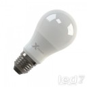Светодиодная лампа X-Flash Globe E27-6W